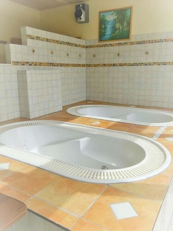 Imagen de la piscina del Hotel Md Kaltenbach. Foto 18
