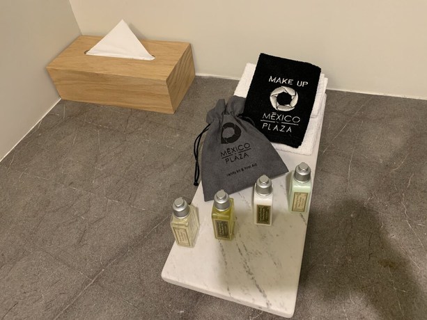 Imagen de la habitación del Hotel M&eacute;xico Plaza Quer&eacute;taro. Foto 5