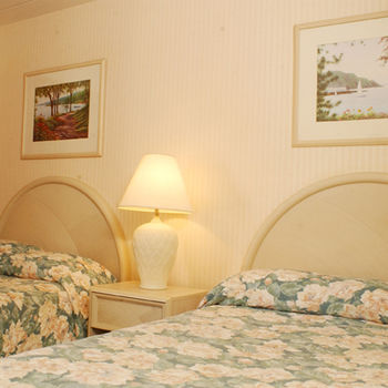 Imagen de la habitación del Hotel Meadow Court Inn - Ithaca. Foto 8