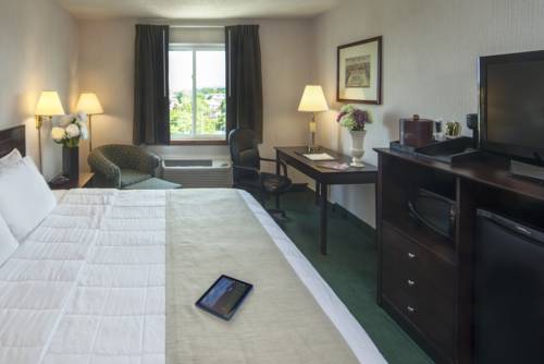 Imagen de la habitación del Hotel Meadowlands Plaza. Foto 11