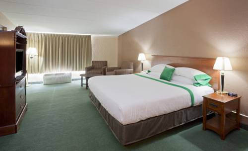 Imagen de la habitación del Hotel Med City Inn and Suites - Mayo Clinic Area. Foto 8