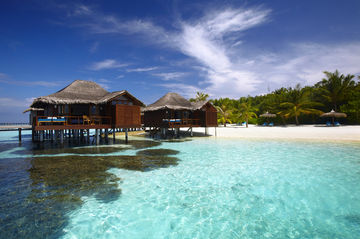 Imagen general del Hotel Medhufushi Island Resort. Foto 12