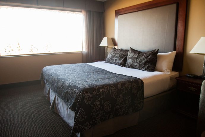 Imagen de la habitación del Hotel Medicine Hat Lodge, Trademark Collection by Wyndham. Foto 12
