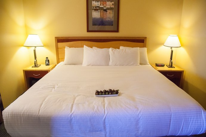 Imagen de la habitación del Hotel Medicine Hat Lodge, Trademark Collection by Wyndham. Foto 13