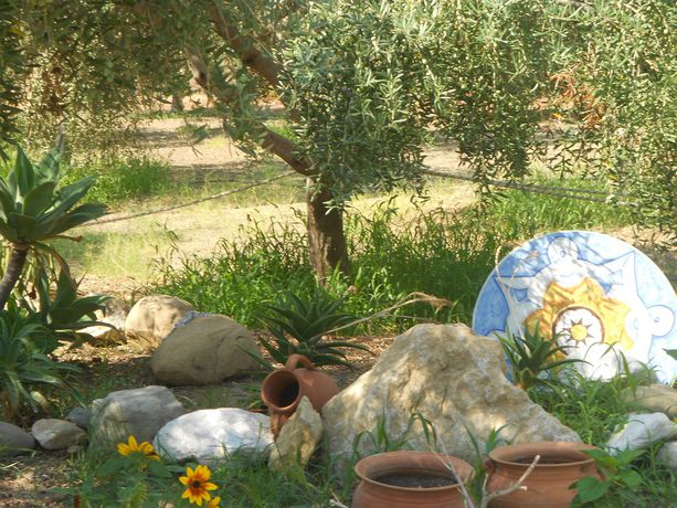 Imagen de la piscina del Hotel Medimare Residence Club. Foto 15