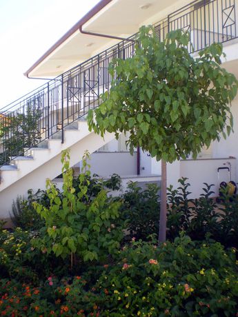 Imagen de la habitación del Hotel Medimare Residence Club. Foto 7