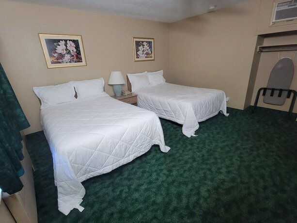 Imagen general del Hotel Medina Inn. Foto 12