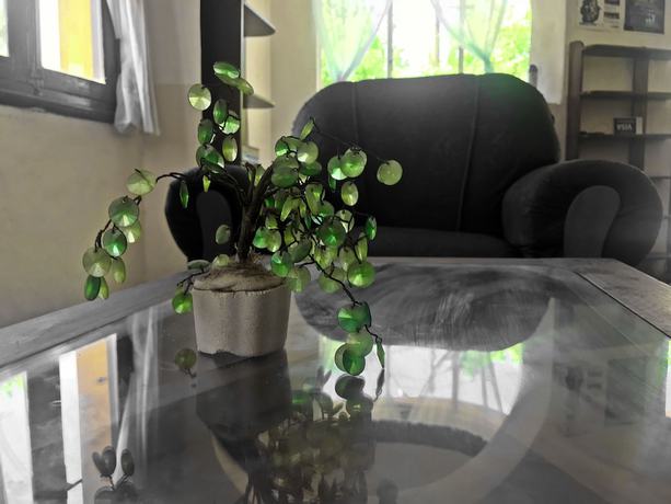 Imagen de los interiores del Hotel Mediterr&aacute;neo, LA FALDA. Foto 16