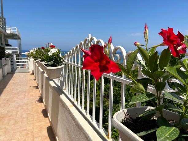 Imagen general del Hotel Mediterranean Boutique. Foto 13