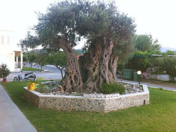 Imagen de los exteriores del Hotel Mediterranean and Apartments. Foto 6