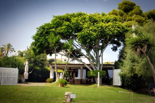 Imagen general del Hotel Mediterraneo, SANTA MARIA NAVARRESE. Foto 3