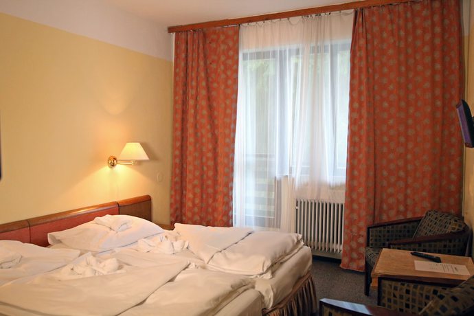 Imagen de la habitación del Hotel Medlov Dependance. Foto 7