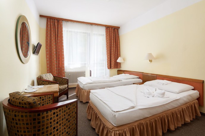 Imagen de la habitación del Hotel Medlov Dependance. Foto 16