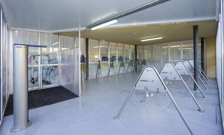 Imagen de los interiores del Hotel Medplaya Hotel Calypso. Foto 16