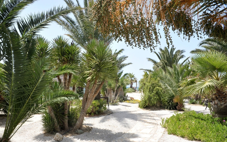 Imagen de la habitación del Hotel Medusa Beach Resort And Suites. Foto 5