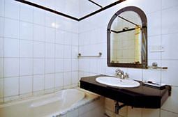 Imagen de la habitación del Hotel Megha Sheraton. Foto 6