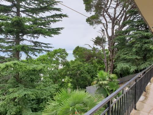 Imagen general del Hotel Megobroba. Foto 3