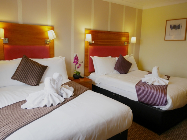 Imagen de la habitación del Hotel Mehfil. Foto 10