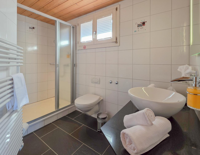Imagen general del Hotel Meielisalp. Foto 10