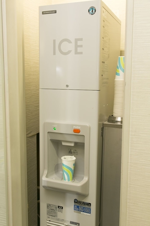 Imagen de los interiores del Hotel Meitetsu Komaki. Foto 18