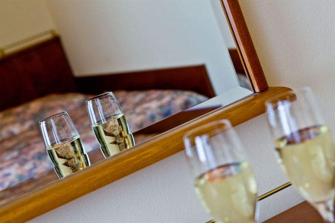 Imagen de la habitación del Hotel Melantrich. Foto 7