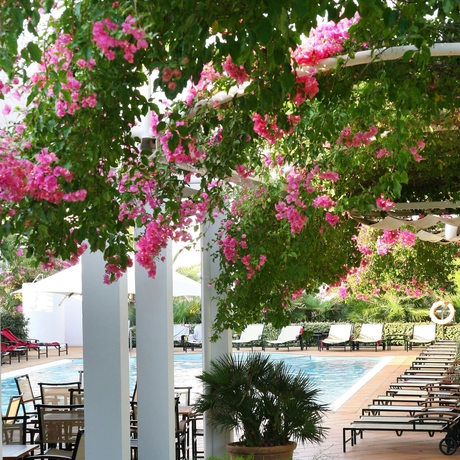 Imagen de la piscina del Hotel Melia Cala d'Or Boutique Hotel. Foto 20