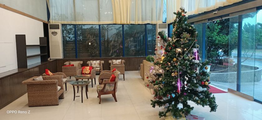 Imagen de los interiores del Hotel Melody Hawaii. Foto 17