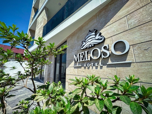 Imagen general del Hotel Meloso. Foto 1