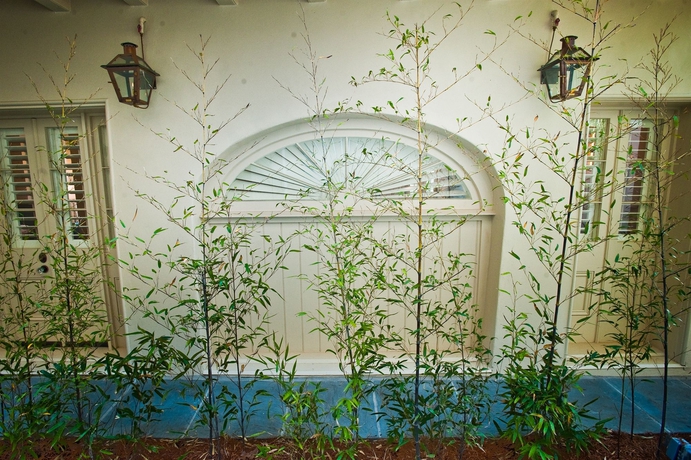 Imagen de los exteriores del Hotel Melrose Mansion. Foto 13