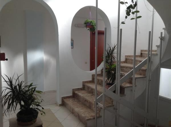 Imagen general del Hotel Meltemi. Foto 7