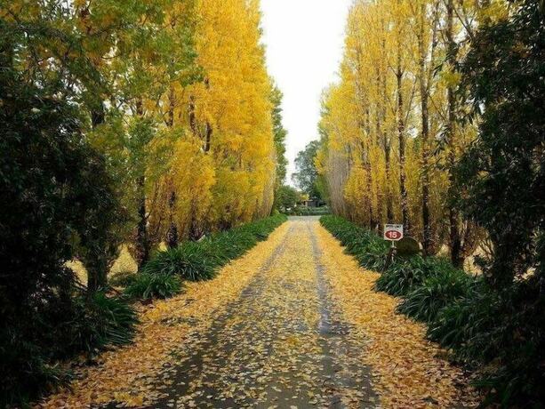 Imagen general del Hotel Melview Greens Serviced Apartments. Foto 6