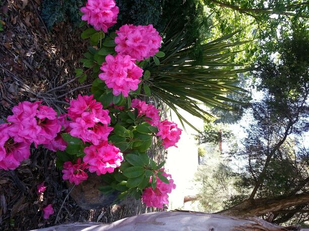 Imagen general del Hotel Melview Greens Serviced Apartments. Foto 10