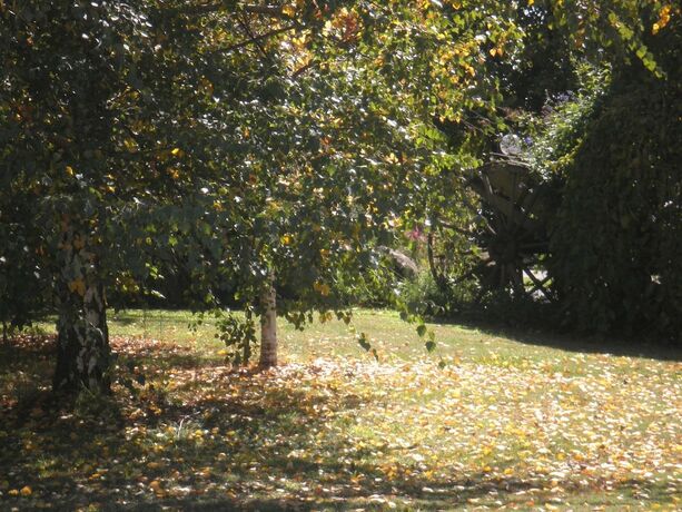 Imagen general del Hotel Melview Greens Serviced Apartments. Foto 14