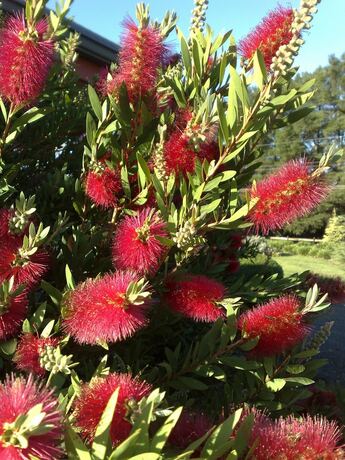 Imagen general del Hotel Melview Greens Serviced Apartments. Foto 16