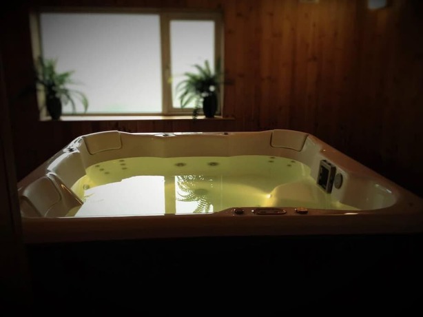 Imagen de la piscina del Hotel Membly Hall. Foto 20