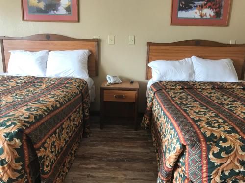 Imagen de la habitación del Hotel Memphis Inn. Foto 7