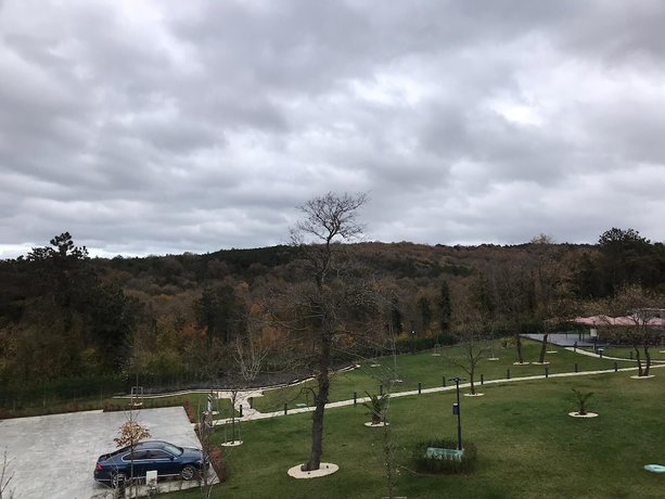 Imagen de la habitación del Hotel Menalo Premium Istanbul Airport. Foto 17