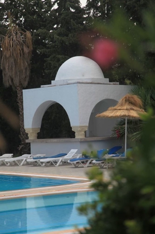 Imagen de la piscina del Hotel Menara, Hammamet. Foto 16
