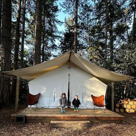Imagen general del Hotel Mendocino Grove. Foto 8
