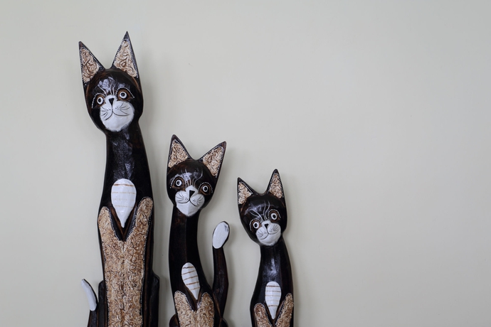 Imagen de los interiores del Hotel Meng Bengil Villa. Foto 15