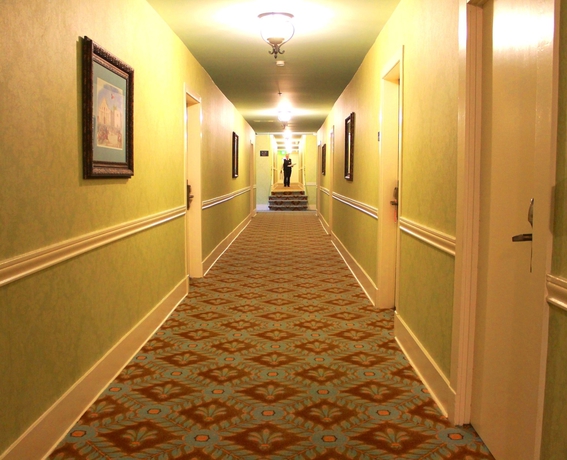 Imagen de los interiores del Hotel Menger. Foto 12