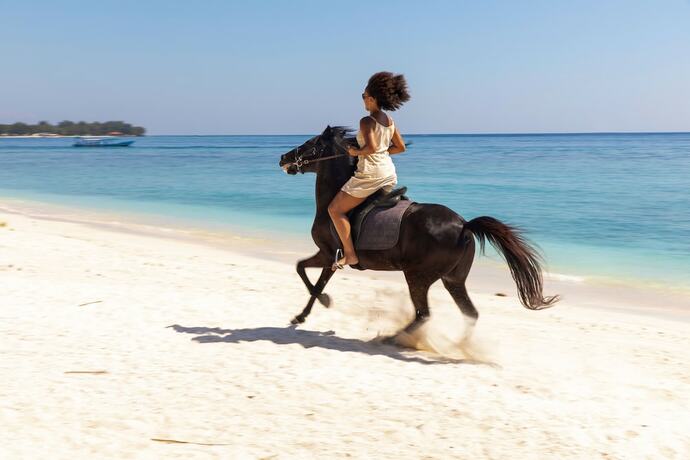 Imagen general del Hotel Meno House. Foto 11