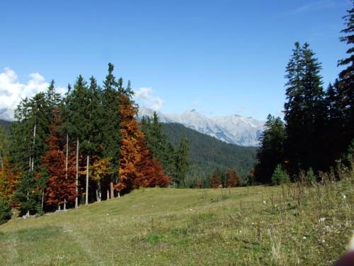 Imagen general del Hotel Menthof. Foto 5