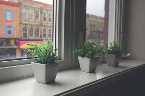 Imagen de la habitación del Hotel Mercer Downtown, Bw Premier Collection. Foto 16