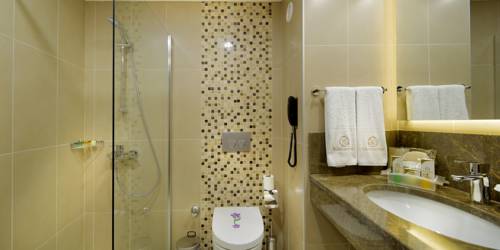 Imagen de la habitación del Hotel Mercure Ankara Kızılay. Foto 4