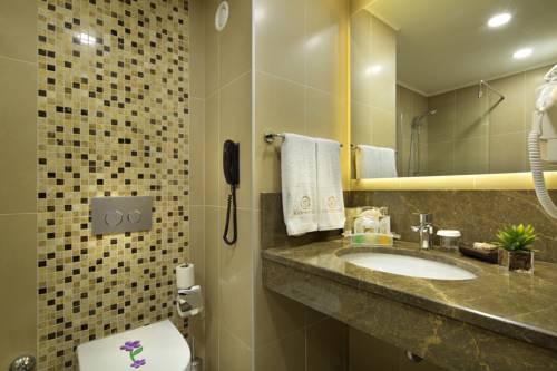 Imagen de la habitación del Hotel Mercure Ankara Kızılay. Foto 6