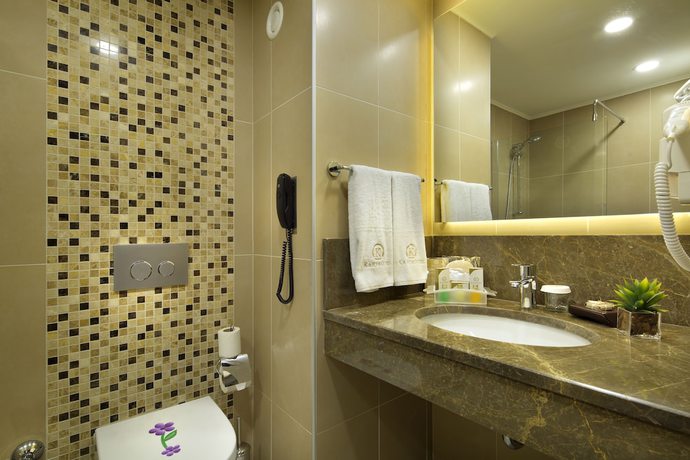 Imagen de la habitación del Hotel Mercure Ankara Kızılay. Foto 9