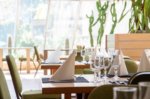 Imagen general del Hotel Mercure Arles Centre Arenes. Foto 12