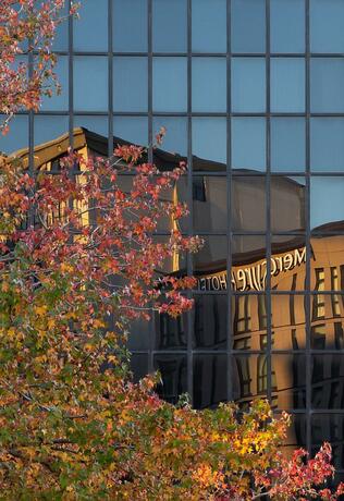 Imagen general del Hotel Mercure Auckland Queen Street. Foto 16