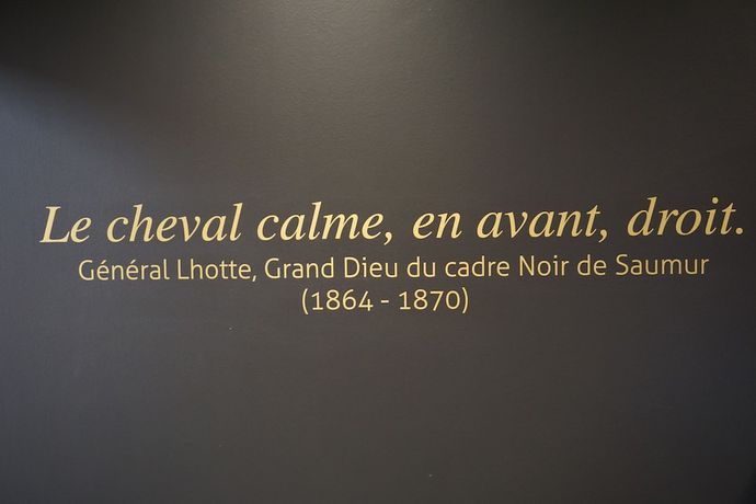 Imagen de los interiores del Hotel Mercure Bords De Loire Saumur. Foto 19